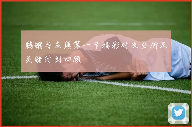 鹈鹕与灰熊第一节精彩对决分析及关键时刻回顾