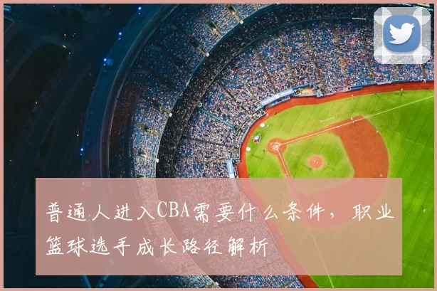 普通人进入CBA需要什么条件,职业篮球选手成长路径解析