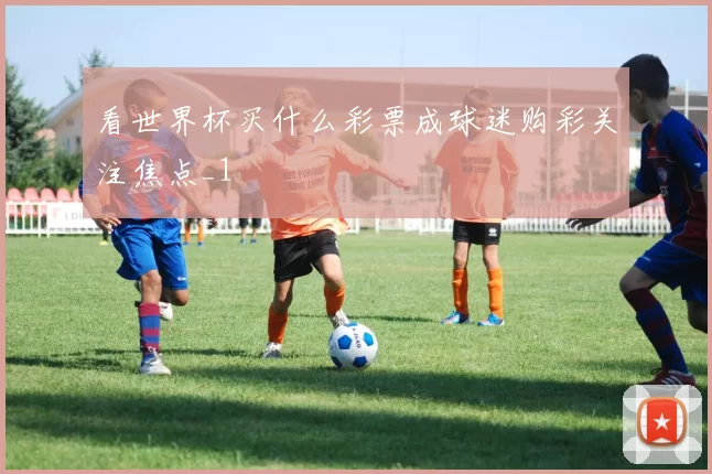 看世界杯买什么彩票成球迷购彩关注焦点_1