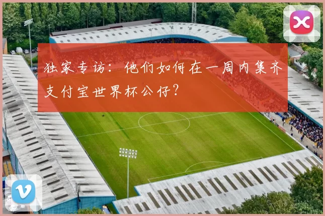 独家专访：他们如何在一周内集齐支付宝世界杯公仔？