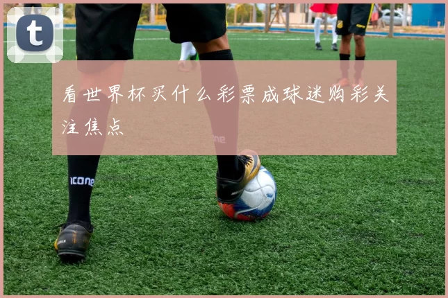 看世界杯买什么彩票成球迷购彩关注焦点