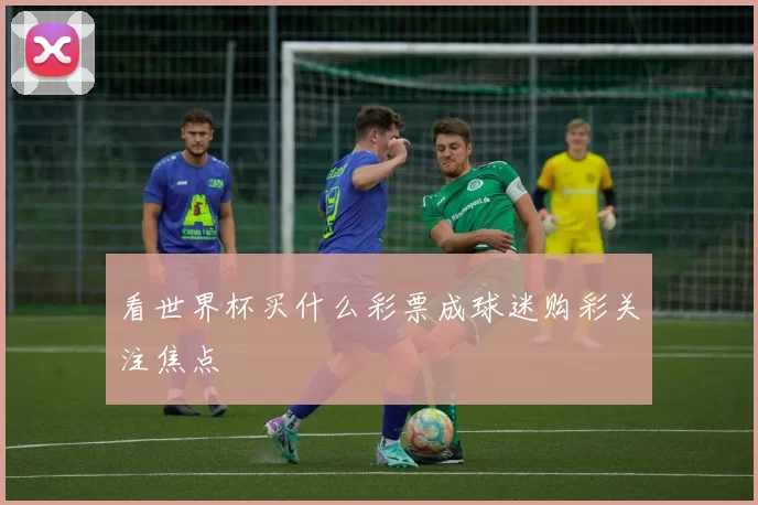 看世界杯买什么彩票成球迷购彩关注焦点